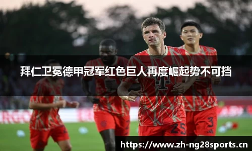 ng28体育官网