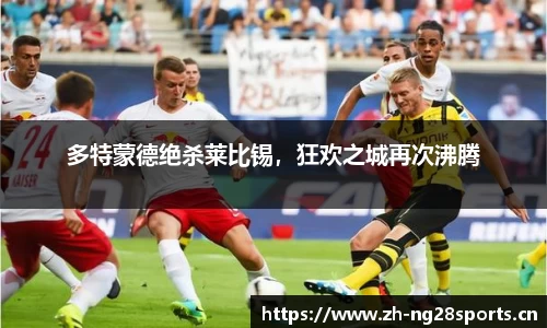 ng28体育平台