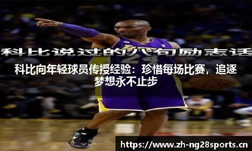 ng28体育平台