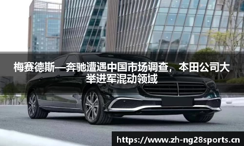 ng28体育平台