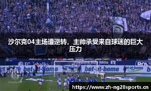 ng28体育平台
