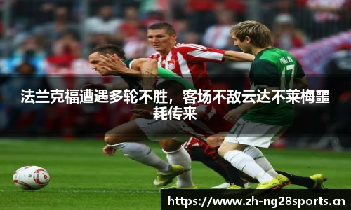 ng28体育官方网站