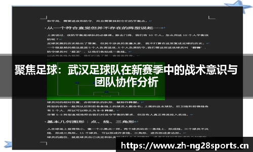 ng28体育平台