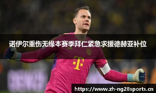 ng28体育官网