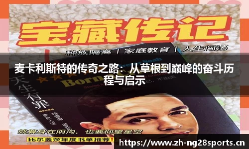 ng28体育平台