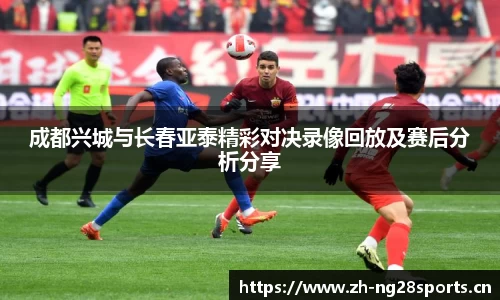 ng28体育